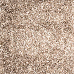 Annmarie 5' X 7' Beige Area Rug