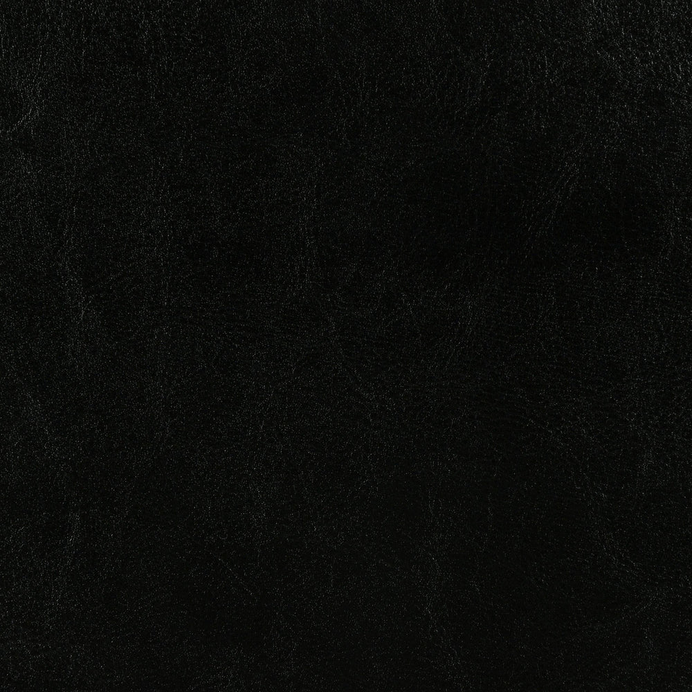 Dorian Faux Leather Upholstered Twin Panel Bed Black
