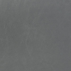 Dorian Faux Leather Upholstered Queen Panel Bed Grey
