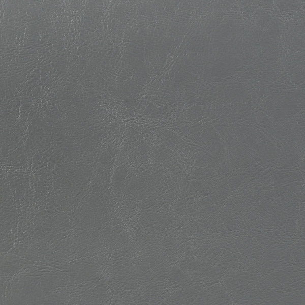 Dorian Faux Leather Upholstered Queen Panel Bed Grey