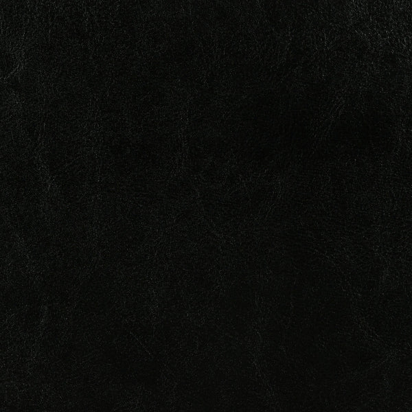 Dorian Faux Leather Upholstered Queen Panel Bed Black