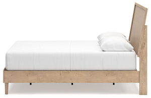 Cielden - Two-tone - Queen Panel Bed