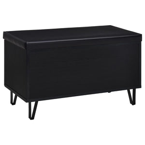 Brixton - 2-Door Padded Entryway Shoe Storage Bench - Black