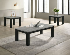 Enhance your living space with this contemporary cocktail table set, meticulously designed to infuse elegance into everyday living. The set features a robust coffee table and two matching end tables, each boasting a sleek, minimalistic design that seamles