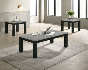 Enhance your living space with this contemporary cocktail table set, meticulously designed to infuse elegance into everyday living. The set features a robust coffee table and two matching end tables, each boasting a sleek, minimalistic design that seamles