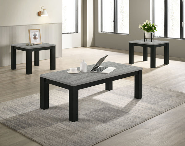 Enhance your living space with this contemporary cocktail table set, meticulously designed to infuse elegance into everyday living. The set features a robust coffee table and two matching end tables, each boasting a sleek, minimalistic design that seamles