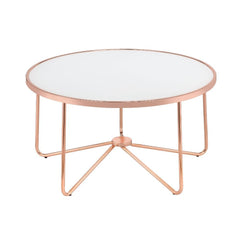 This Alivia modern occasional table brings a unique yet classy look to your living room. With effortless infusion of frosted glass and unique retro inspired rose gold metal base, this piece will naturally blend in your living room, making it a statement o