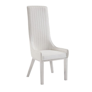 Gianna - Dining Chair (Set of 2) - Ivory PU & Stainless Steel