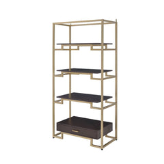 Featuring a modern and elegant design, the Yumia bookcase is an ideal option to place in your living room or study room. 1 drawer at the bottom and 4 shelves suspended between glass sides makes for an interesting book case. The gold finish and the clear g