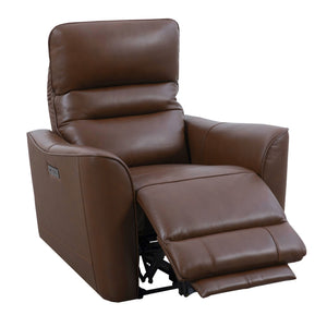 Taylor - Power Zero Gravity Recliner (Set of 2) - Brazilian Cocoa