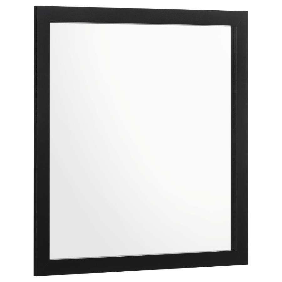 Top off your dresser with this simple and elegantly understated modern mirror. A sleek clean frame surrounds the edges of this rectangular mirror, offering a tall, vertical design against the walls. A smooth, black finish offers a striking contrast, but l