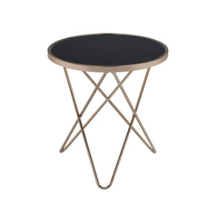 Update your living room with a functional art piece. The Valora end table uses a mid-century inspired base finished in champagne and supports a framed black glass top. The finish and black glass make for a sophisticated look.<br/><br/><b>Product Features<