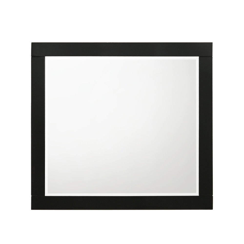 Brilliant accent to add to any modern living space. The Chelsie Mirror is a focal point on its own with its clean and sleek design. Add depth and reflect light with its beveled mirror inlay that features a perfect viewing angle. The black finish is excell