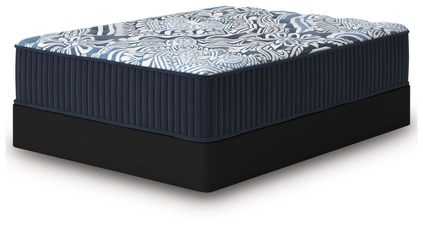 Firm Luxe 2.0 - Blue - King Mattress