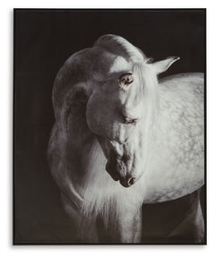 This wall art is a handsomely detailed addition to your wall decor. The black and white color grading adds an air of elegance to the portrait. Chic in casual and contemporary spaces alike, itâ€™s a graceful interpretation of equine beauty.<br/><br/><b>Pro