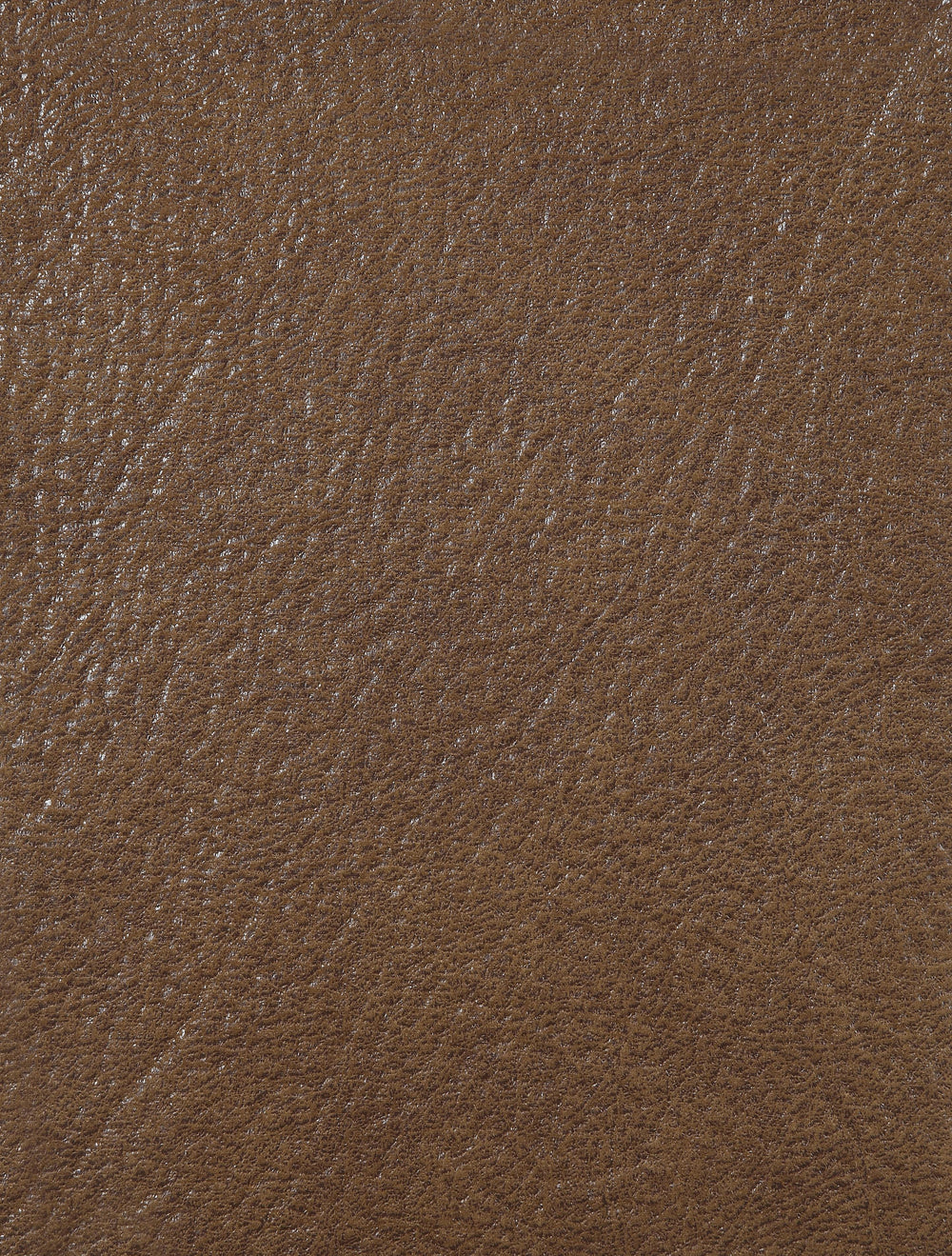  F6647 Motion Sofa