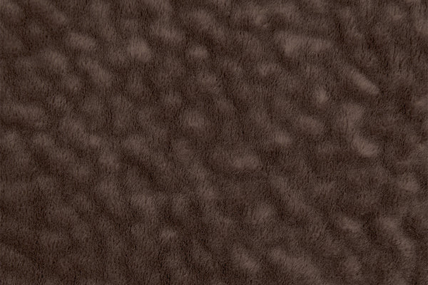  F6697 Rocker Recliner