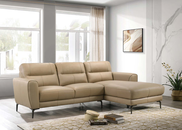 2-PCS SECTIONAL SET
