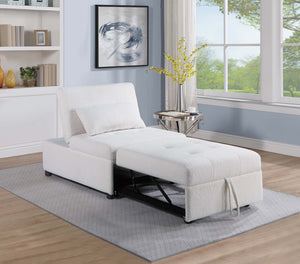  F8531 Convertible Sofa