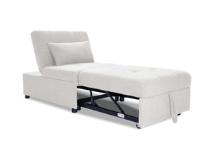  F8531 Convertible Sofa