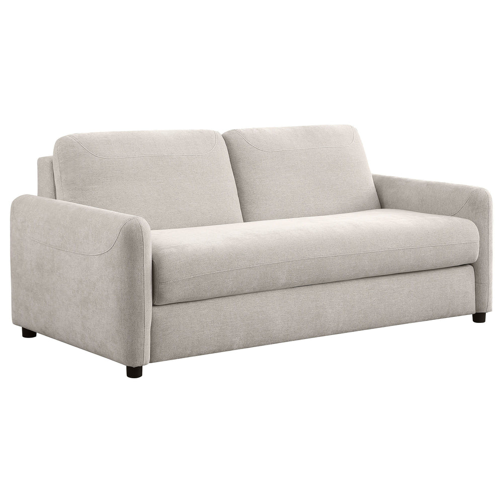 Add a versatile spin to your living space with a modern sleeper sofa that lends sleek style and optimal comfort. This functional seating solution features slender rounded track arms and bench-style seat cushions that will complement your dÃ©cor. The sofa,