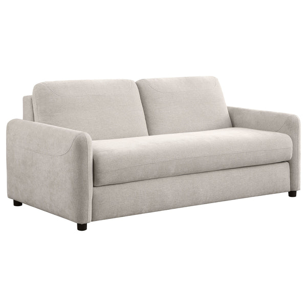 Add a versatile spin to your living space with a modern sleeper sofa that lends sleek style and optimal comfort. This functional seating solution features slender rounded track arms and bench-style seat cushions that will complement your dÃ©cor. The sofa,