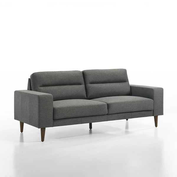 Meet the Vale 3-Seater Couch in Gray, a timeless blend of durability and comfort. Crafted with solid and manufactured wood frames reinforced with corner blocks, this couch ensures long-term reliability. Its cozy 100% polyester gray upholstery is both styl