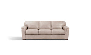  the Gabe sofa displays sleek tapered legs