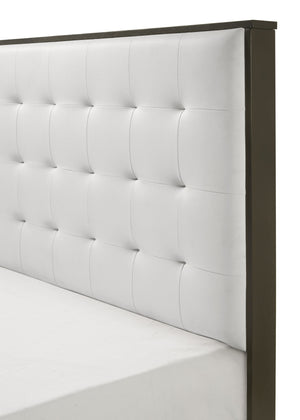  providing a touch of class. This set includes a matching dresser