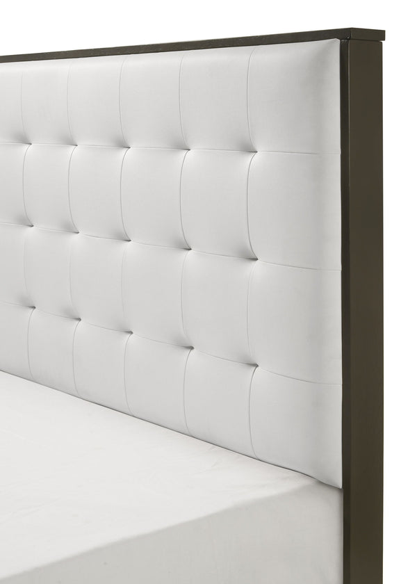  featuring a clean-lined design with a warm dark finish. The centerpiece is a bed with a stylish tufted headboard