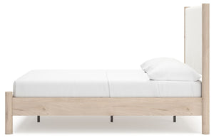 Cadmori - Two-tone - Full Upholstered Panel Bed