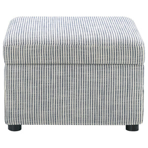  or personal essentials. Use as a footrest