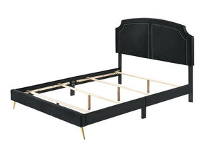 Zeena - Eastern King Bed - Black Velvet