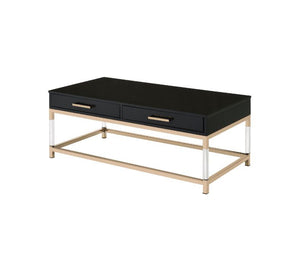 Match your seating ensemble with this Adiel Coffee Table to lend a modern flair to your living room. The beautiful metal frame in gold finish adds a touch of glam to this contemporary piece, with clear acrylic legs that elegantly frame the design. The met