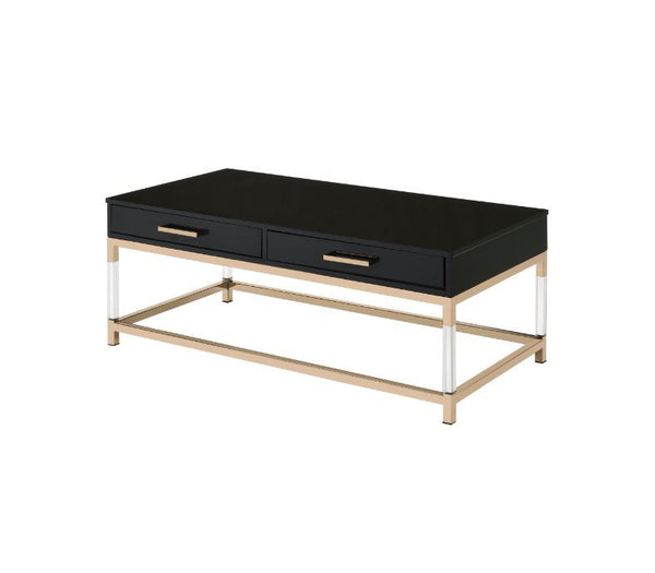 Match your seating ensemble with this Adiel Coffee Table to lend a modern flair to your living room. The beautiful metal frame in gold finish adds a touch of glam to this contemporary piece, with clear acrylic legs that elegantly frame the design. The met