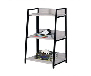  this Wendral bookshelf will sure to be an eye-catching piece in any home. Featuring a shelf storage system with a ladder-like appearance