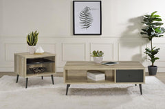 Welsh - 2 Piece Coffee And End Table Set - Distressed Pine