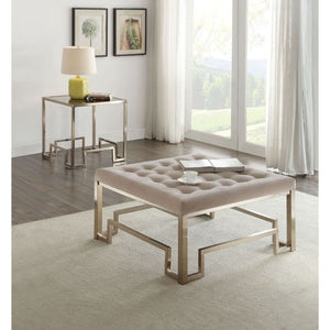 Add this Damien cocktail ottoman and end table to create a luxurious look for you living room. The sleek ottoman will match perfectly with any of your elegance sofa or be the eye catching accent piece in any room. Ottoman featuring bottom tufted fabric to