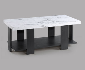  featuring a sleek rectangular coffee table as the centerpiece