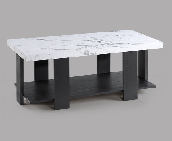  featuring a sleek rectangular coffee table as the centerpiece