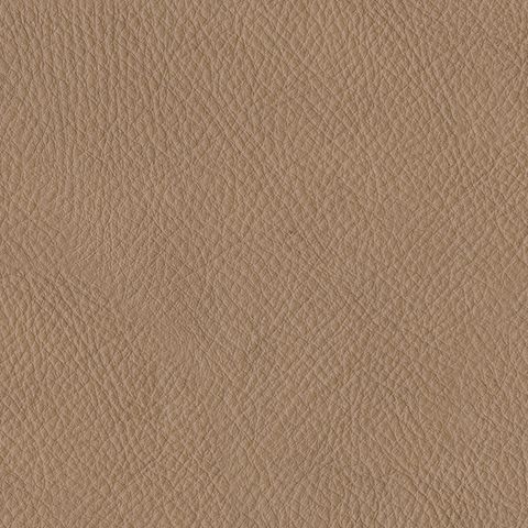  top-of-the-line luxury. With this sectional