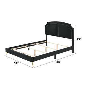 Zeena - Queen Bed - Black Velvet