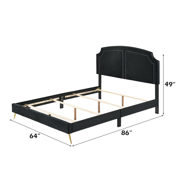 Zeena - Queen Bed - Black Velvet