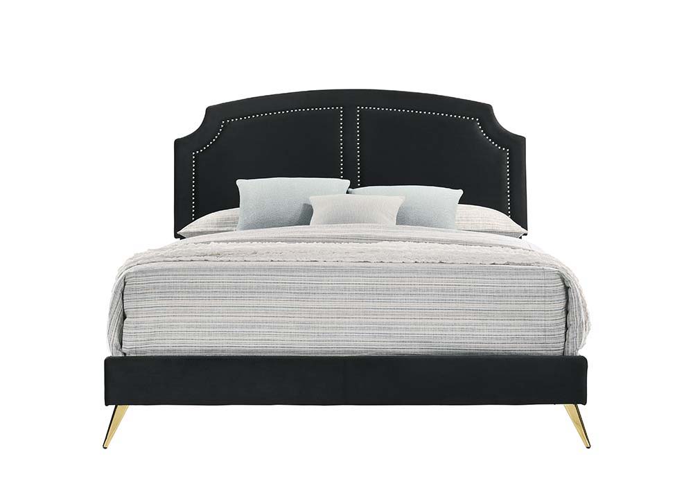 Black and gold are the embodiment of sophistication and chicness. Enjoy a good night-'s sleep with this Zeena contemporary bed. Gold-finished nailhead trim on the headboard lends a refined touch. Perched on beautiful and sturdy gold metal tapered legs tha