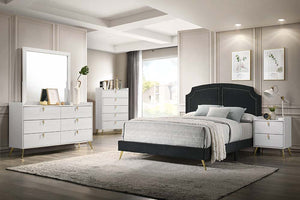 Zeena - Queen Bed - Black Velvet