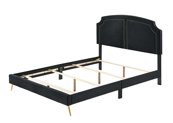 Black and gold are the embodiment of sophistication and chicness. Enjoy a good night-'s sleep with this Zeena contemporary bed. Gold-finished nailhead trim on the headboard lends a refined touch. Perched on beautiful and sturdy gold metal tapered legs tha