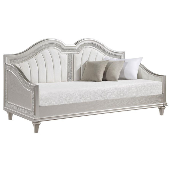  adds a touch of elegance to any 