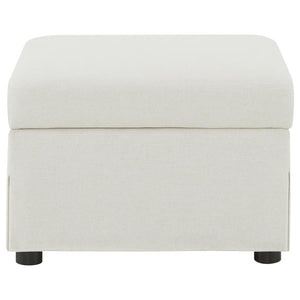  or personal essentials. Use as a footrest