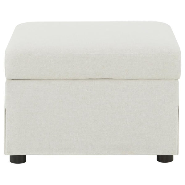  or personal essentials. Use as a footrest