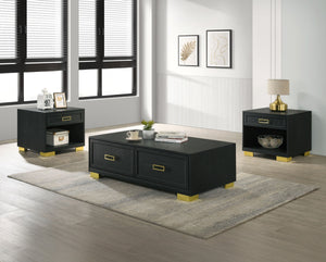 Introducing this contemporary chic cocktail cet, a sleek and modern addition to your living area. Designed with minimalist aesthetics and functionality in mind, this set pairs the understated elegance of a black matte finish with the bold statement of met
